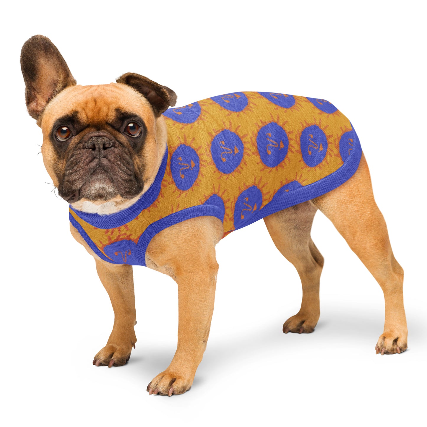 "Sunny day" Knitted pet sweater